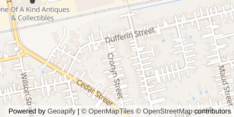 Map of 21 CRONYN STREET, Woodstock (Woodstock - South)