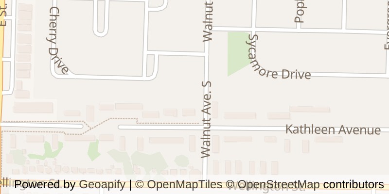 Map of 117 WALNUT AVENUE S, Sarnia